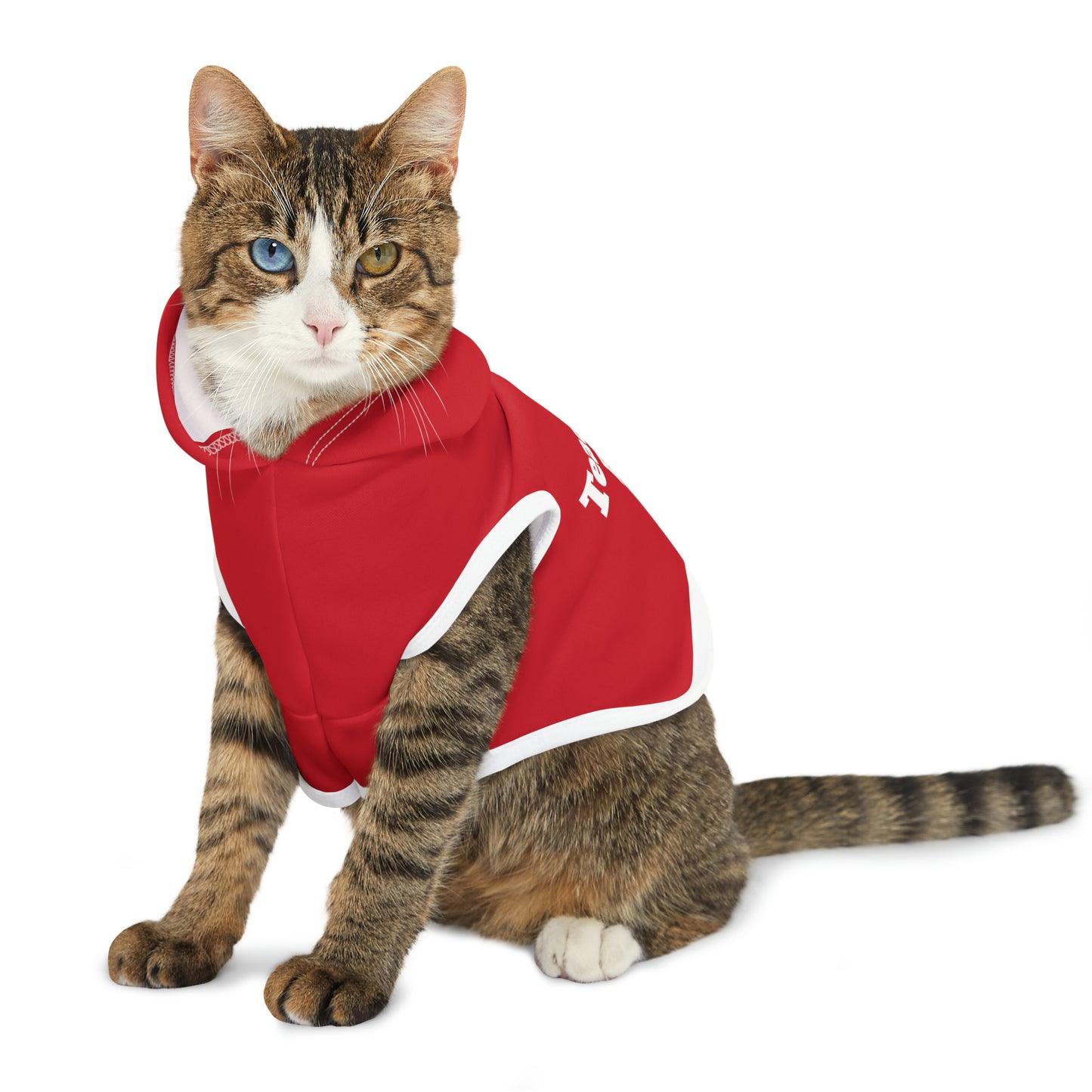 Teacher's Pet Hoodie