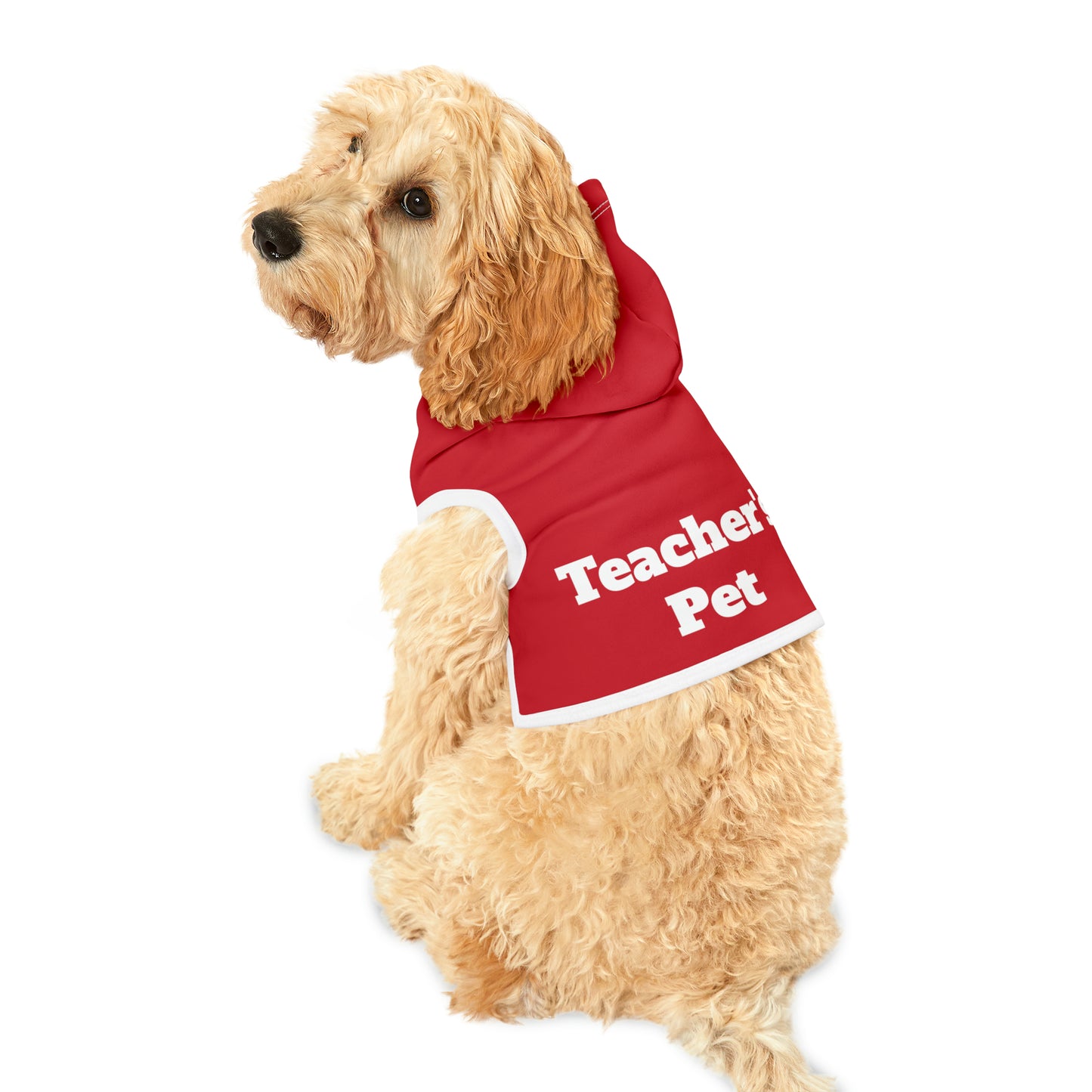 Teacher's Pet Hoodie