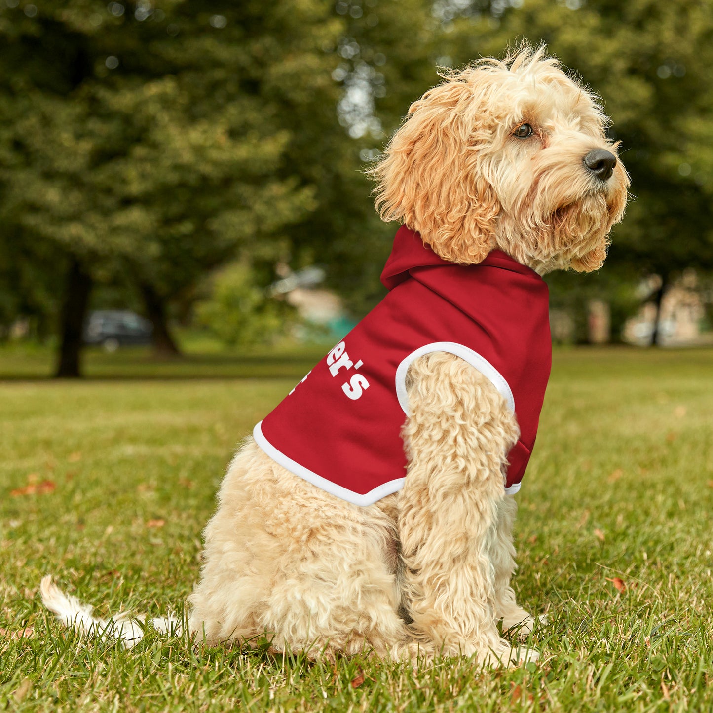 Teacher's Pet Hoodie