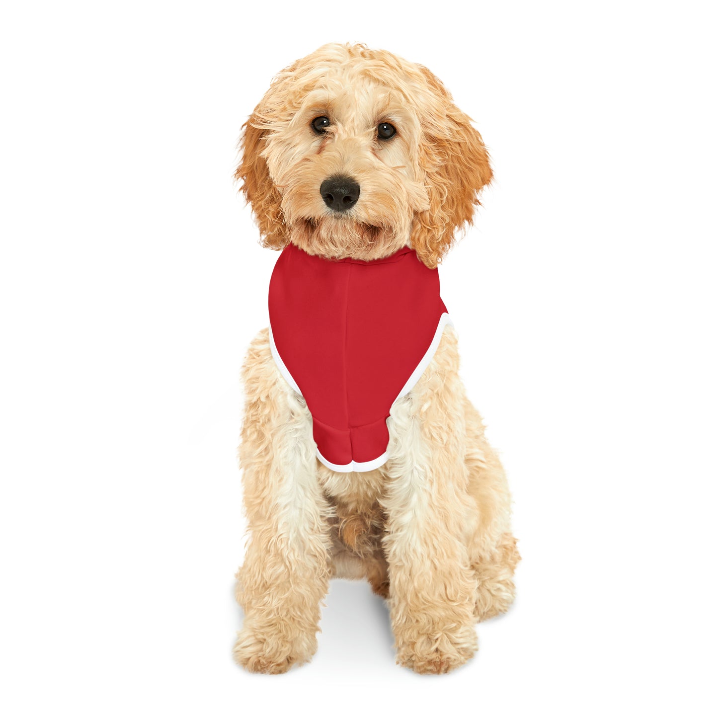 Teacher's Pet Hoodie