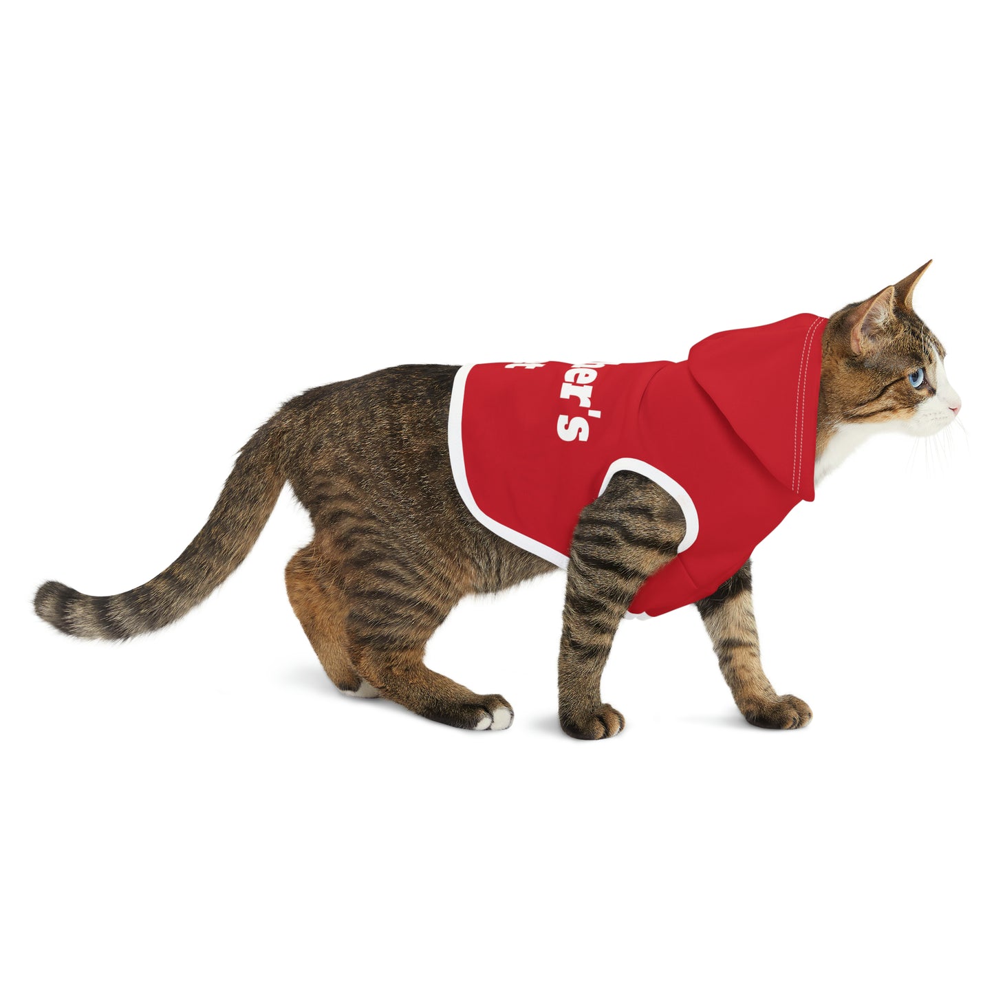 Teacher's Pet Hoodie