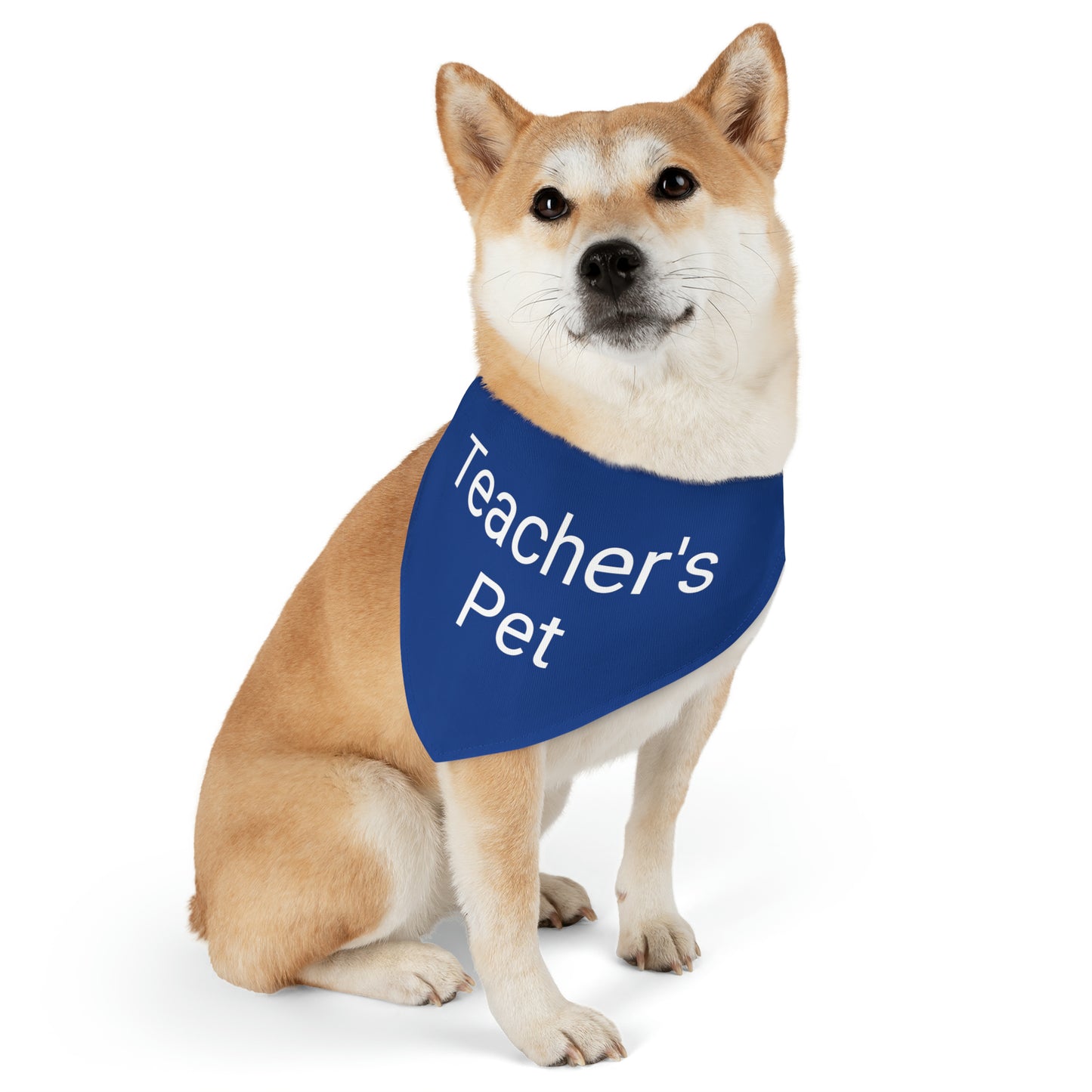 Teachers Pet Bandana Collar