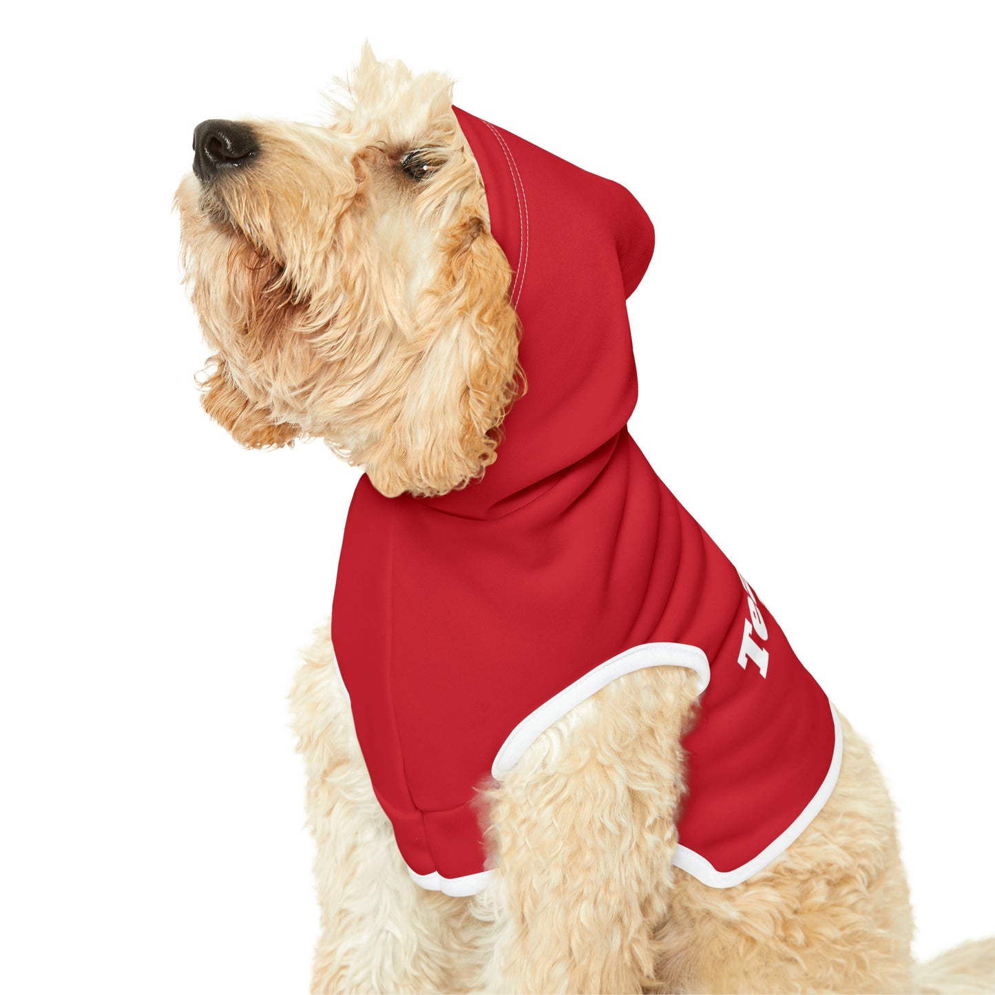 Teacher's Pet Hoodie