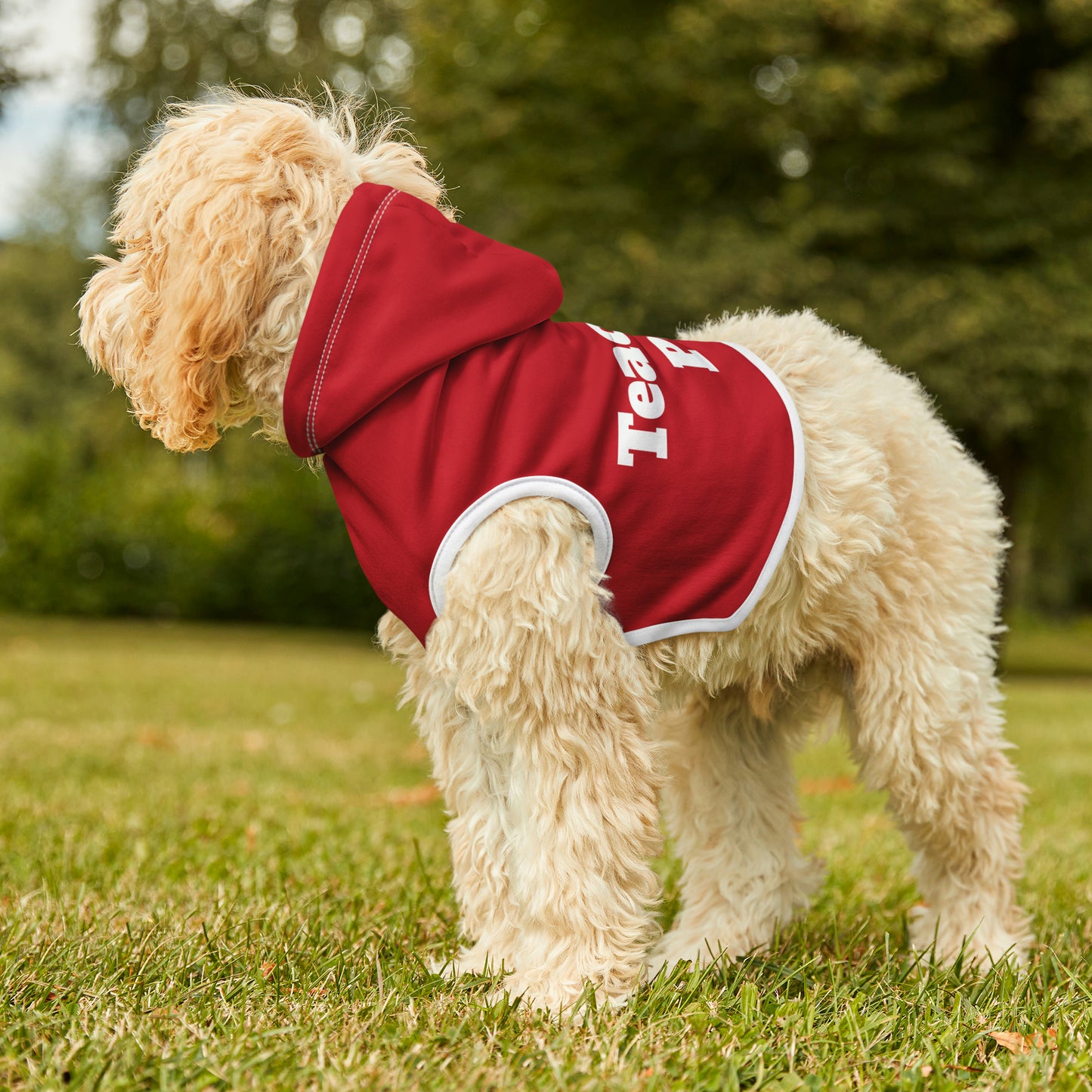 Teacher's Pet Hoodie